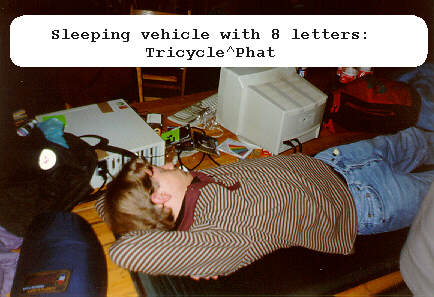 Tricycle (Phat) sleeping on a table
